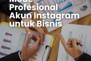 mode-profesional-akun-ig