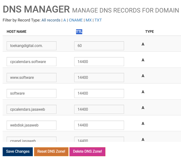 DNS Records Manager