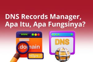 DNS Records Manager