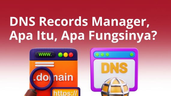 DNS Records Manager